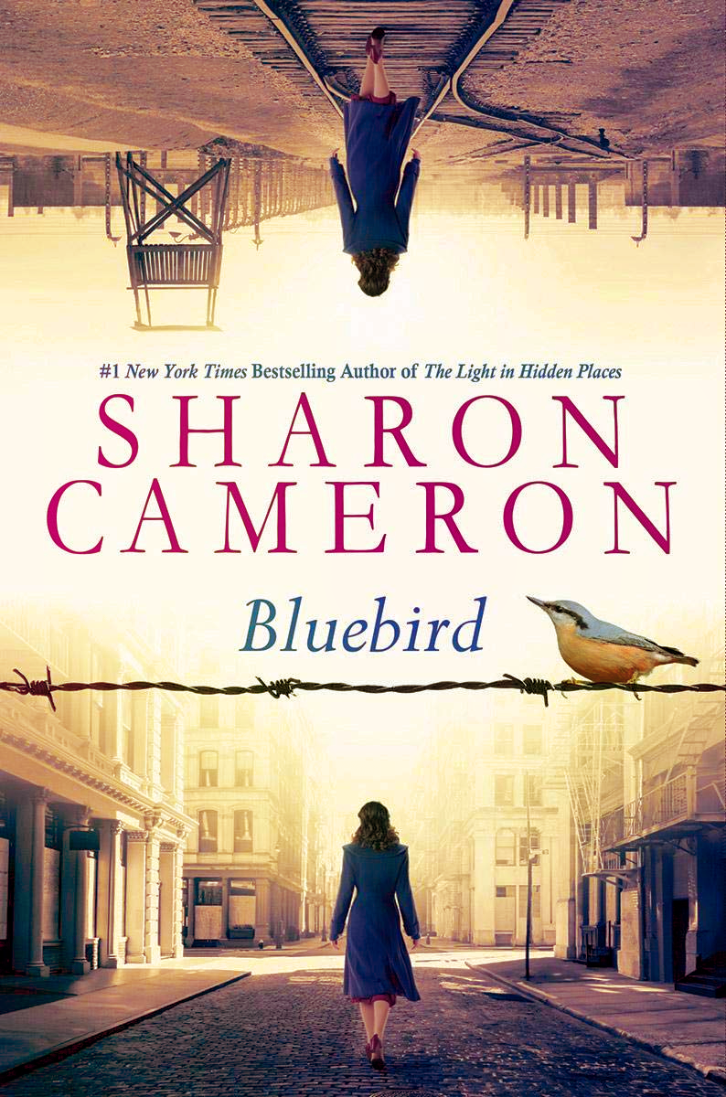 Blog Tour: Bluebird by Sharon Cameron (Excerpt + Giveaway!)